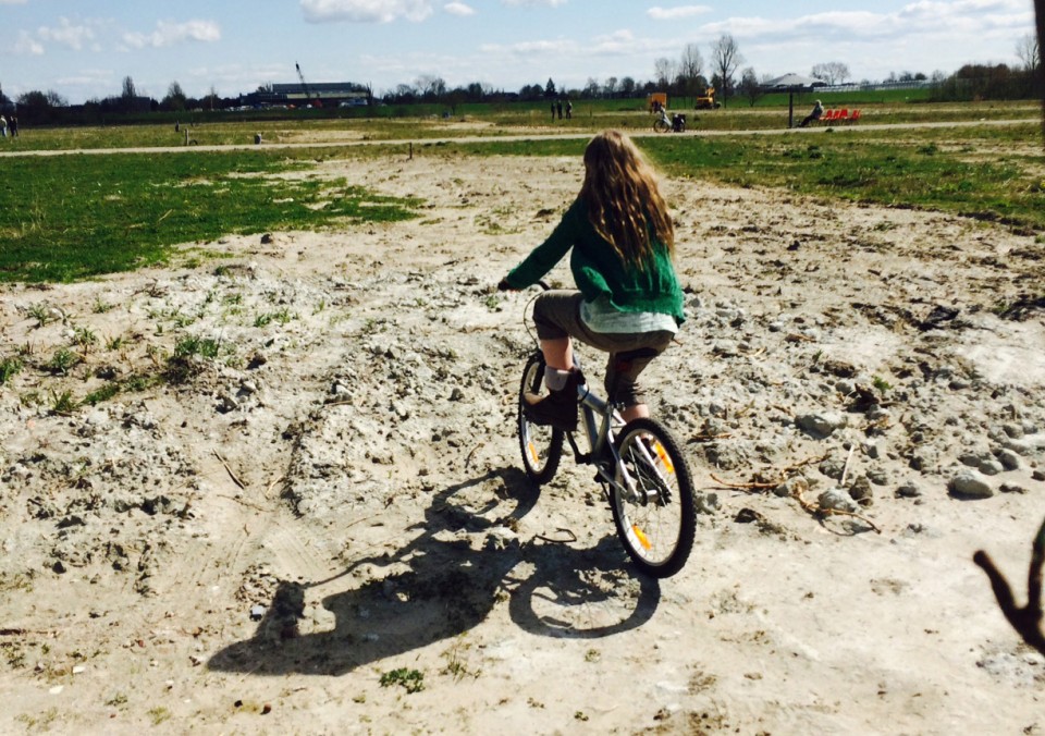 Vinkeveld
