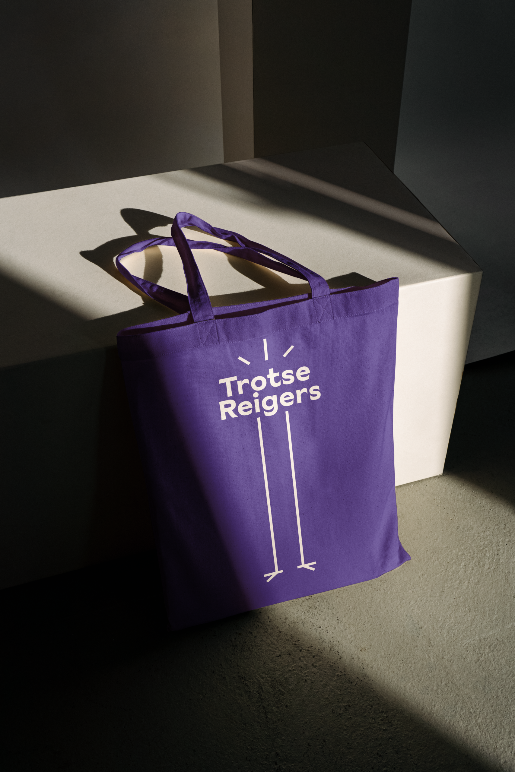 Een paarse totebag met Trotse Reigers er op, die leunt tegen een blok